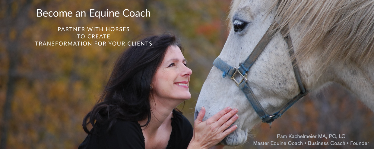 Become an Equine Coach