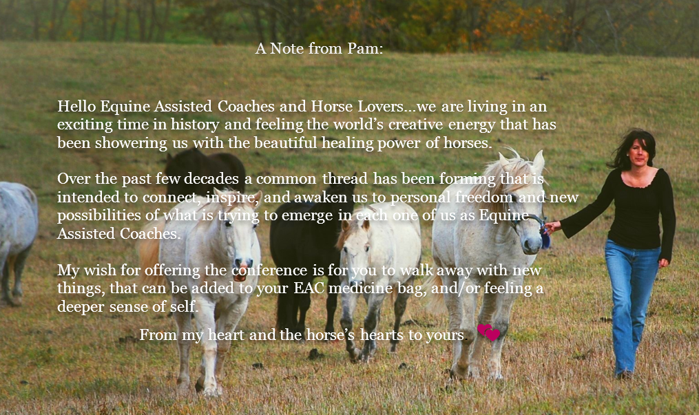 A Note from Pam | EACA Horses and Hearts Conference