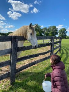 Michele Pedersen, Equine Coach